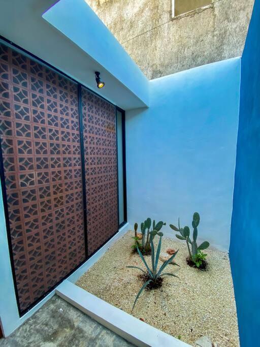 Modern Casa With Pool 7 Mins From Centro 5Min La Plancha Park Villa Mérida Exterior photo